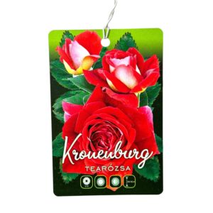 Magastörzsű rózsa (Rosa ‘Kronenburg’)
