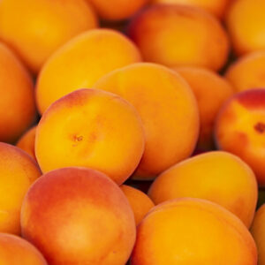 Ceglédi óriás kajszi (prunus armeniaca ‘ceglédi óriás’)